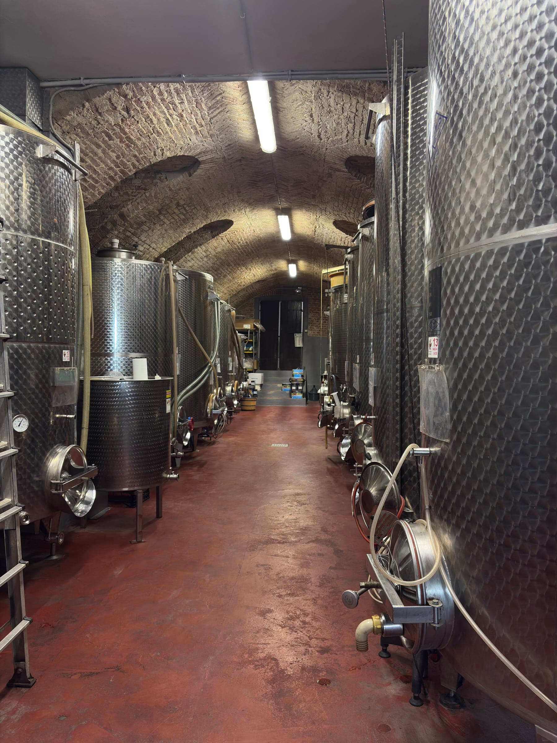 Le vasche in acciaio inox sotto la volta in mattoni della cantina Montarello